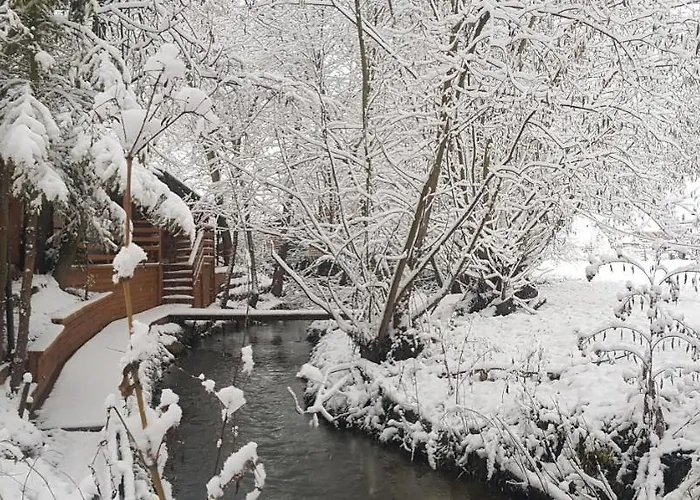 Nad Przykopa Apartamento